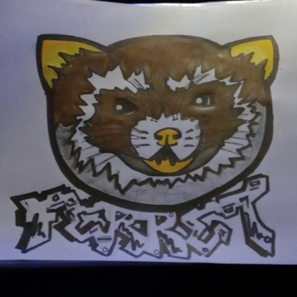 Hand drawn ferret picture
